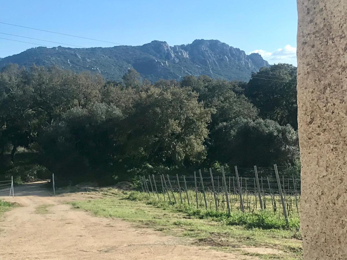 Elegant Country Open Space Deluxe Tenuta Piredu -Monti-Olbia Exterior foto